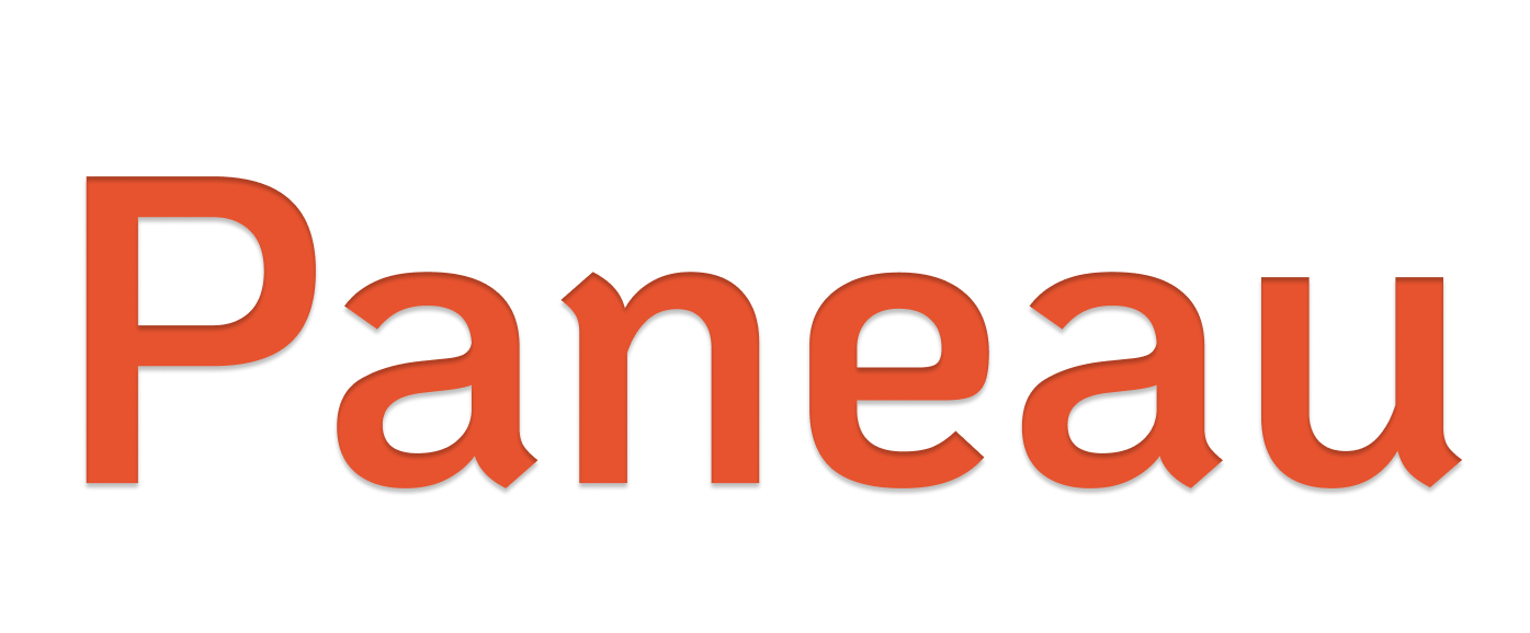 Paneau AI Logo